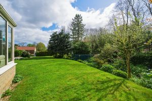 Photo 4- click for photo gallery